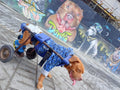 Perrineitor - silla de ruedas para rehabilitacion de perros con paralisis trasera
