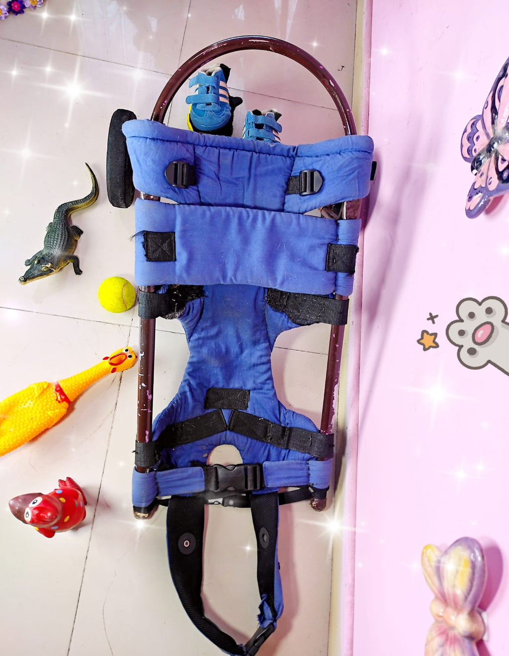 Perrineitor - silla de ruedas para rehabilitacion de perros con paralisis trasera