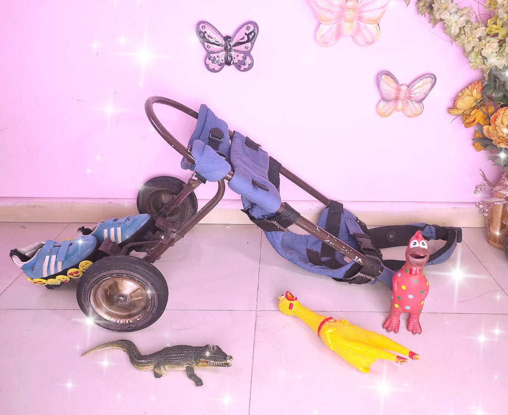 Perrineitor - silla de ruedas para rehabilitacion de perros con paralisis trasera