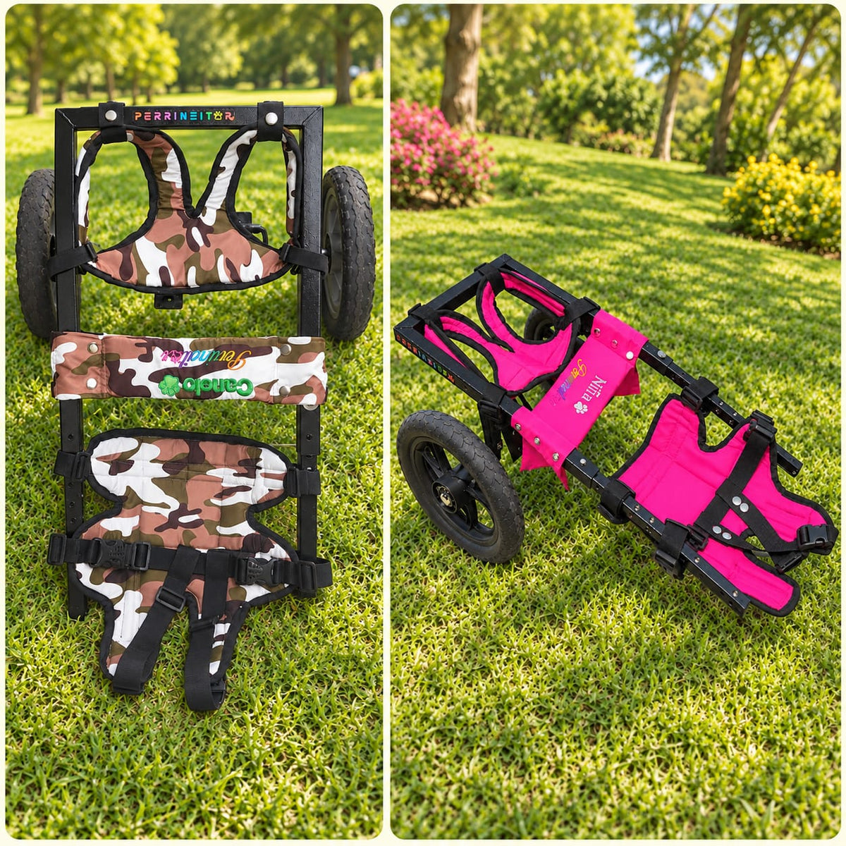 Perrineitor - silla de ruedas para rehabilitacion de perros con paralisis trasera